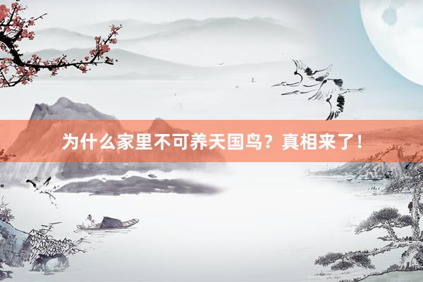 为什么家里不可养天国鸟？真相来了！